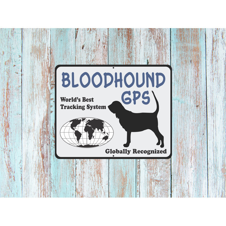 Bloodhound gps tracking outlet system